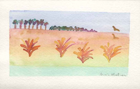 Terre e Paesaggi 05