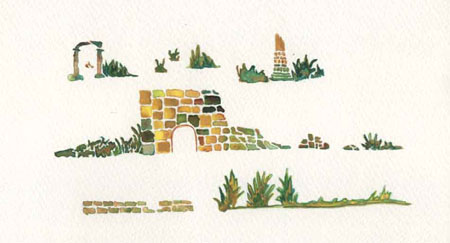 Terre e Paesaggi 10