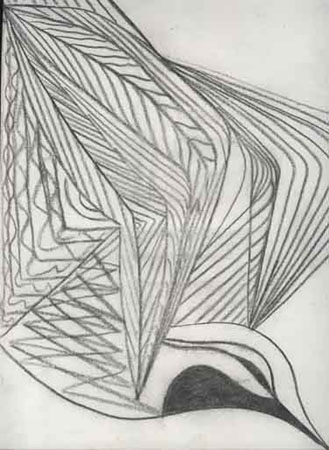 Volar gi