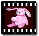 [Foto Fluffy Bunny superdotato]
